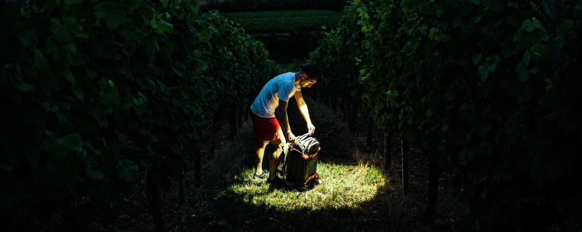 Sales Representative* Poland North, 3. image